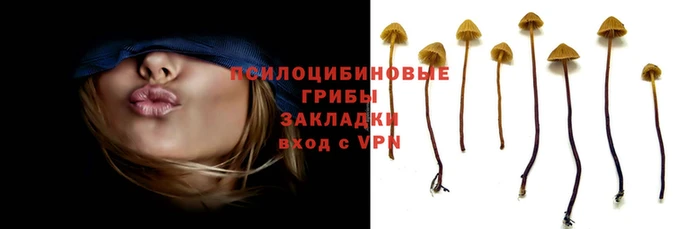 наркотики Баксан